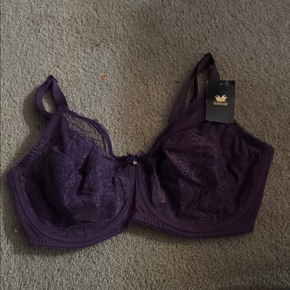 Wacoal Purple Lace Bra